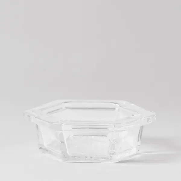 Clara replacement dish