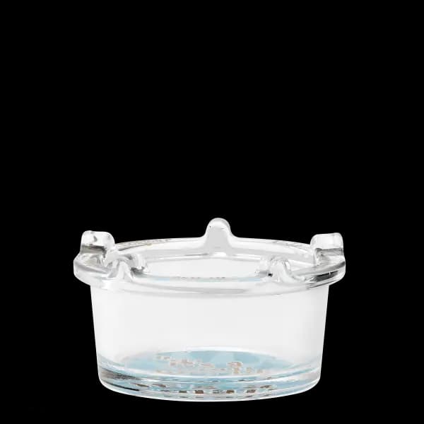 Walt Disney World: "it's a small world" - DISH ONLY