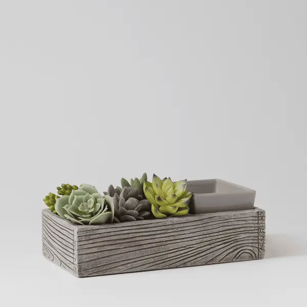 Suc-cute-lent Warmer