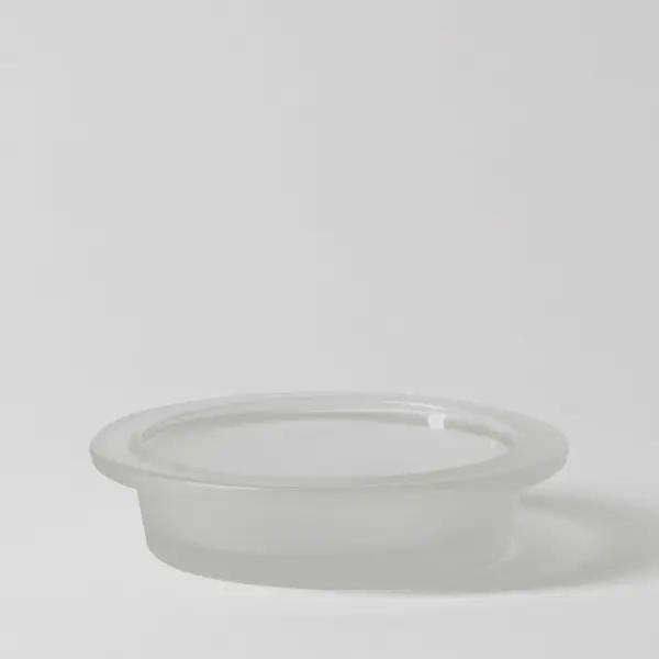 Waves & Wings replacement dish