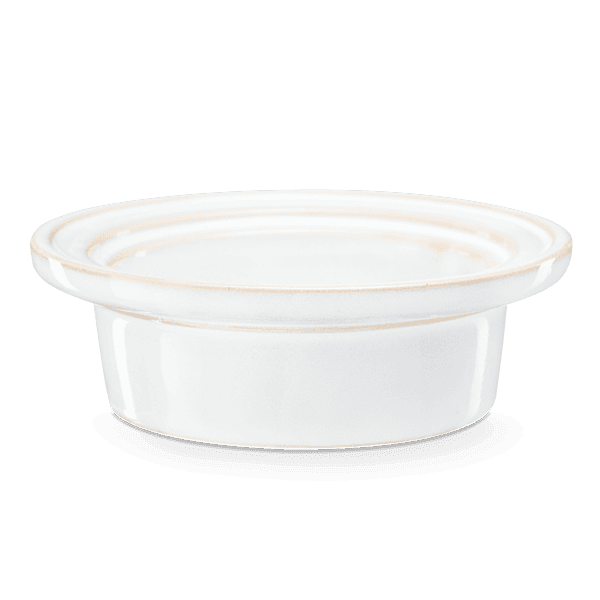 Dreamcatcher replacement dish