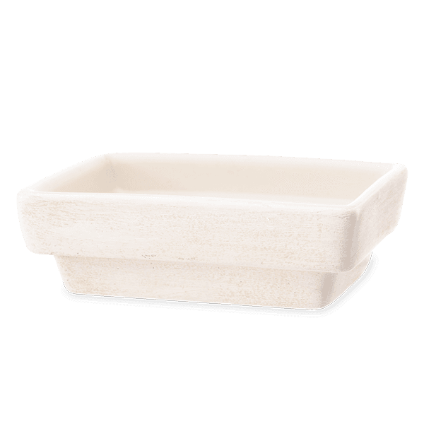 Every Moment Matters replacement dish