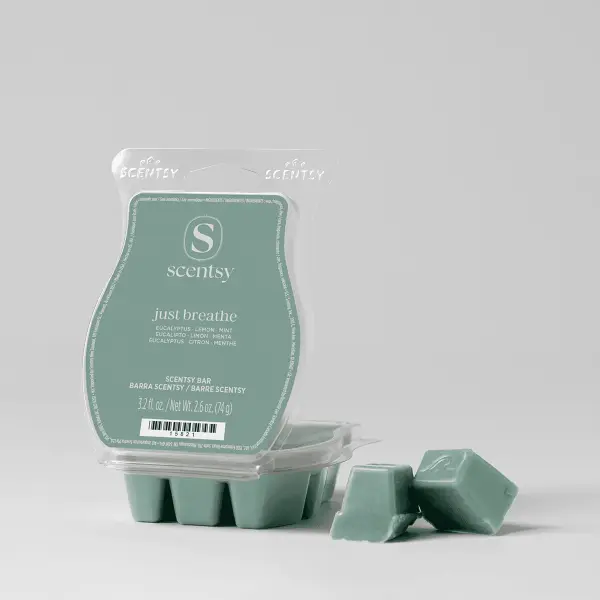 Why Choose Scentsy Over Cheap Wax Melts?