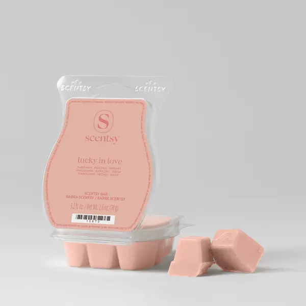 Lucky in Love Scentsy Bar