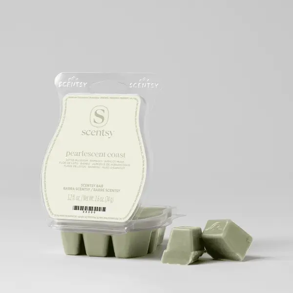 Pearlescent Coast Scentsy Bar