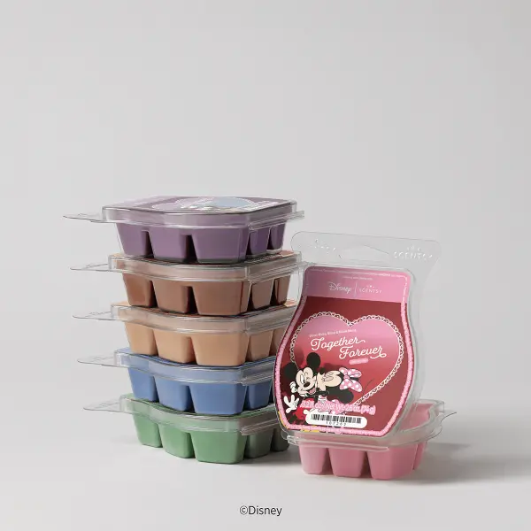 Disney Love Stories – Scentsy Wax Collection