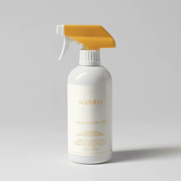 Squeeze the Day Counter Clean