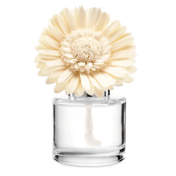 Sunshine Mango - Dainty Daisy Fragrance Flower