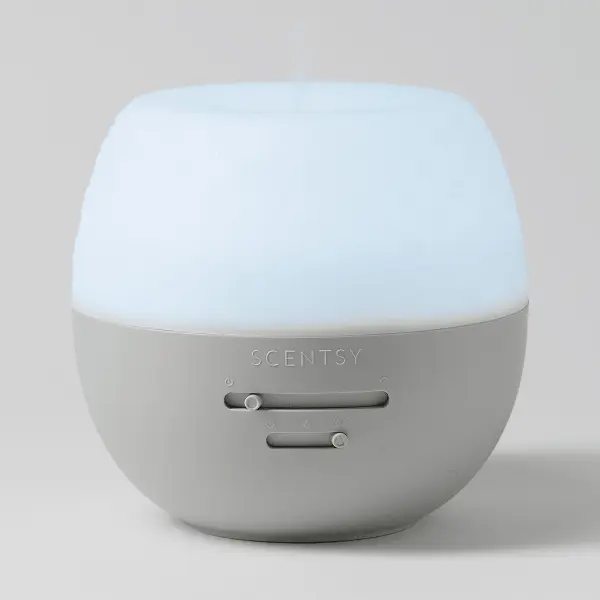 Fleur-Gray Diffuser
