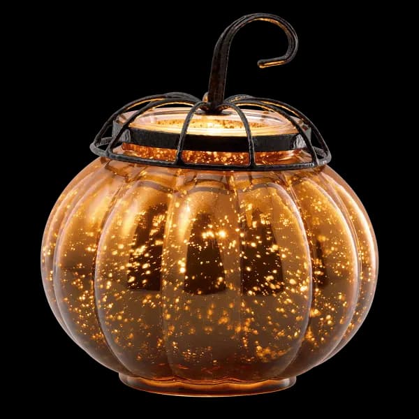 Starry Pumpkin Warmer