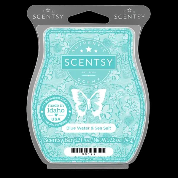 Blue Water & Sea Salt Scentsy Bar