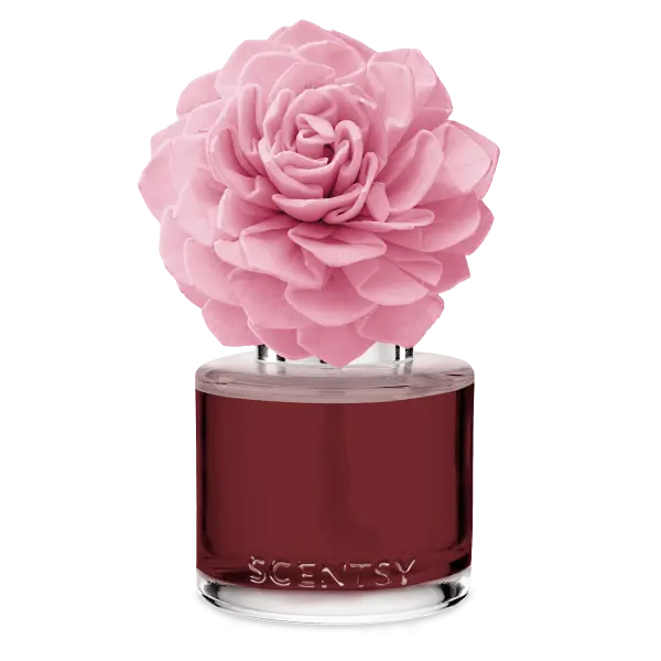 Peppered with Kisses - Dahlia Darling Fragrance Flower