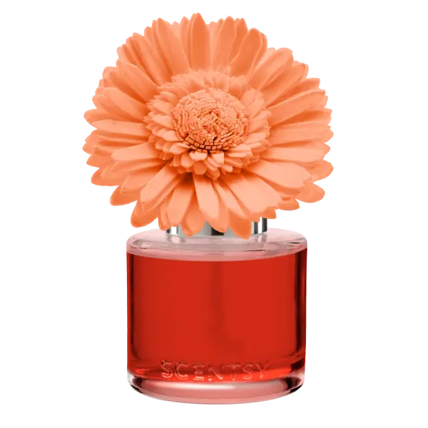 Peach Paradise - Dainty Daisy Fragrance Flower