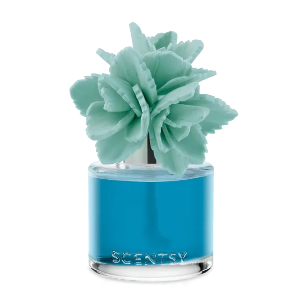 Wildflowers & Sage – Elegant Echeveria Fragrance Flower