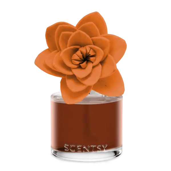 Caramel Macadamia Nut – Natural Poinsettia Fragrance Flower
