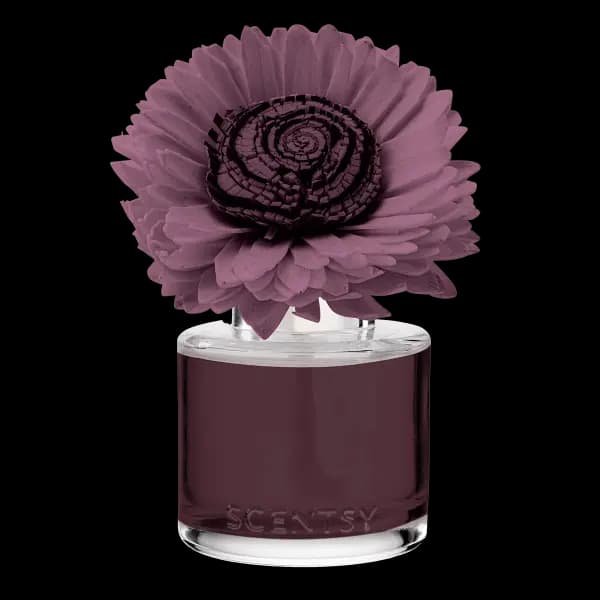 Berry Apple Shortbread - Stunning Sunflower Fragrance Flower