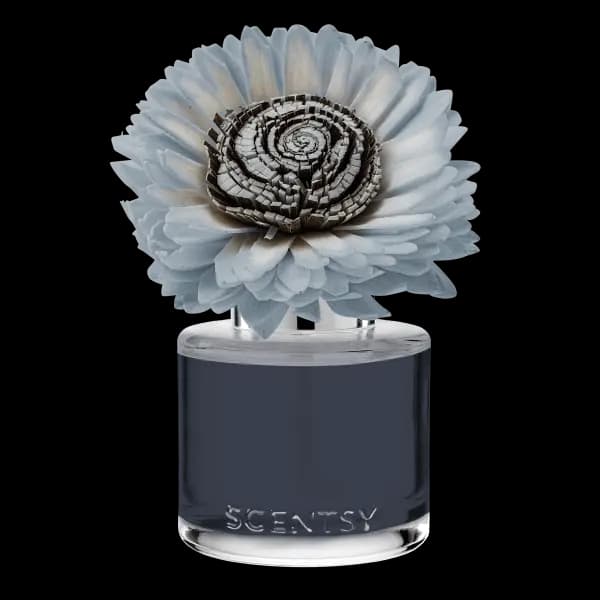 Quaint Country Rain – Stunning Sunflower Fragrance Flower