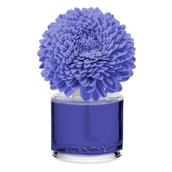 Kindness - Zinnia Zen Fragrance Flower