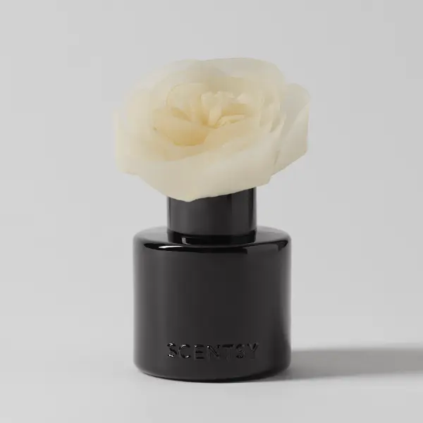 Black Luna Night - Buttercup Belle Fragrance Flower
