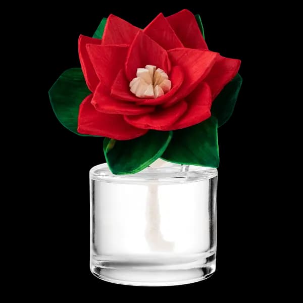 Vanilla Barnwood - Radiant Red Poinsettia Fragrance Flower