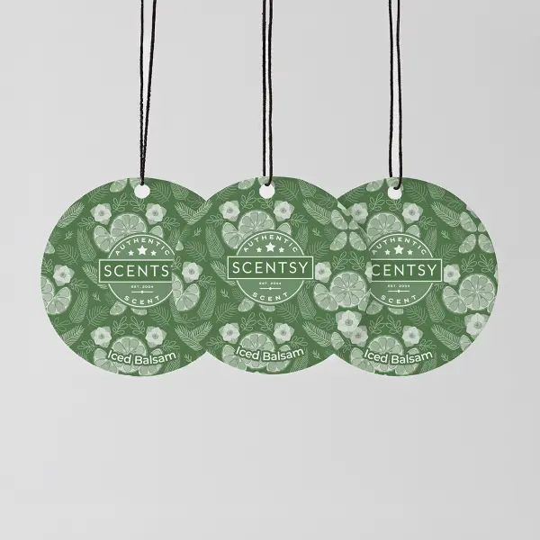 Iced Balsam Scent Circle 3-Pack