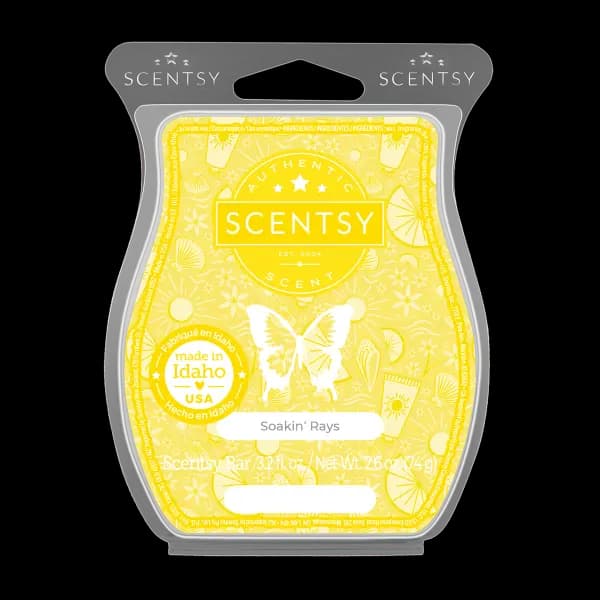 Soakin' Rays Scentsy Bar